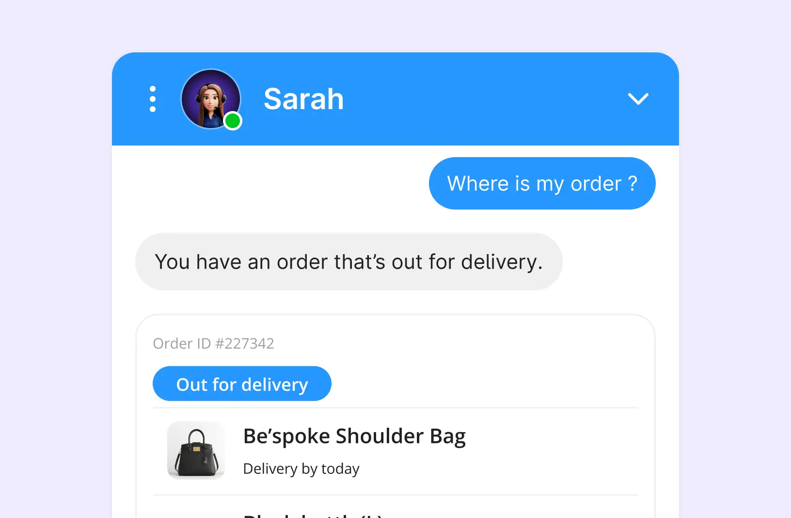 Sarah the support assist